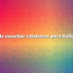 Cuándo cosechar calabazas para Halloween