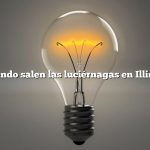 ¿Cuándo salen las luciérnagas en Illinois?