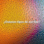 ¿Cuántos tipos de ajo hay?
