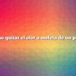 Cómo quitar el olor a mofeta de un perro