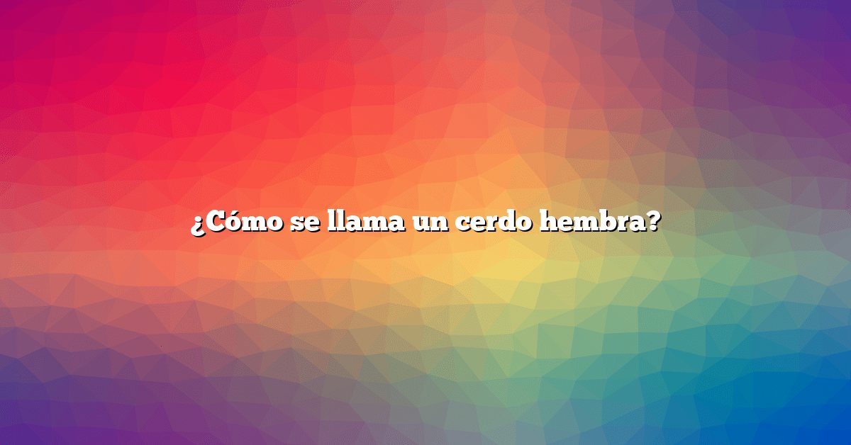 ¿Cómo se llama un cerdo hembra?