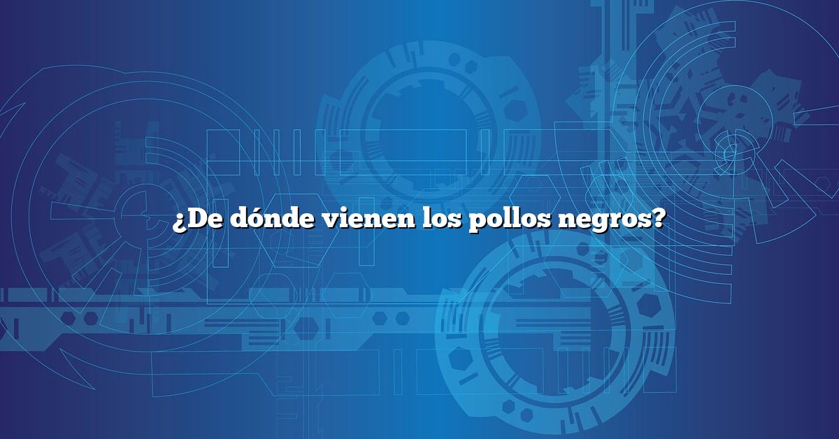 ¿De dónde vienen los pollos negros?