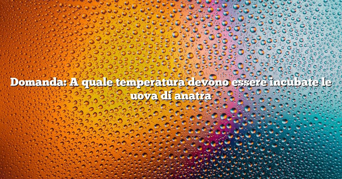 Domanda: A quale temperatura devono essere incubate le uova di anatra