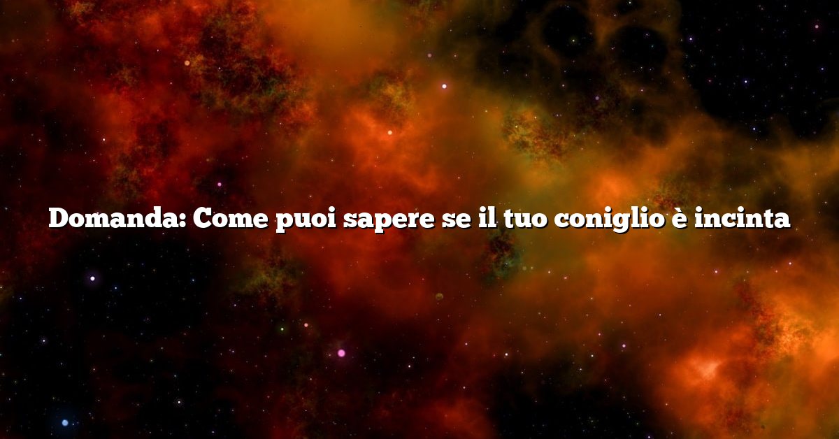 Domanda: Come puoi sapere se il tuo coniglio è incinta