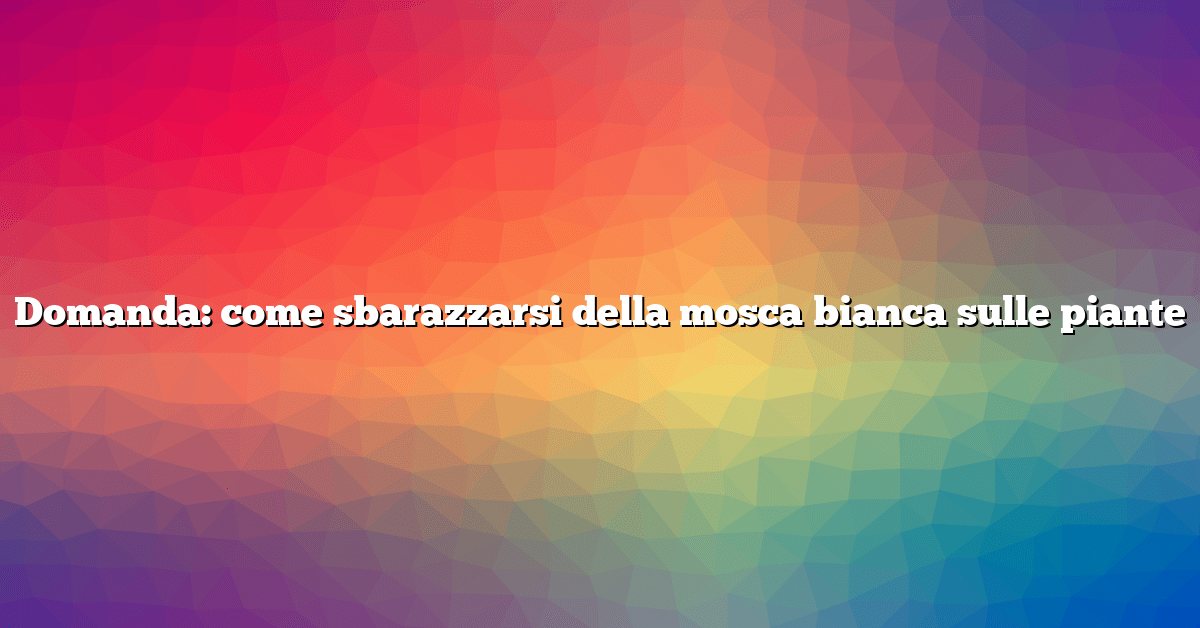 Domanda: come sbarazzarsi della mosca bianca sulle piante