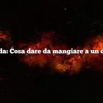 Domanda: Cosa dare da mangiare a un capretto