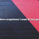 Domanda: dove acquistare i semi di riso per la semina