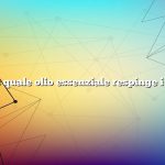 Domanda: quale olio essenziale respinge i moscerini