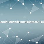 Domanda: Quando puoi piantare i piselli