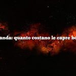 Domanda: quanto costano le capre boere?