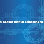 Pregunta: Cuándo plantar calabazas en Virginia