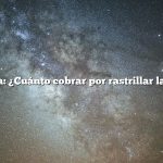 Pregunta: ¿Cuánto cobrar por rastrillar las hojas?