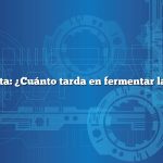 Pregunta: ¿Cuánto tarda en fermentar la sidra?