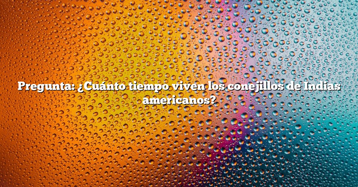 Pregunta: ¿Cuánto tiempo viven los conejillos de Indias americanos?