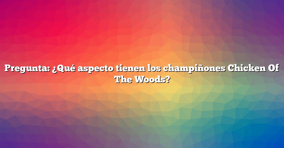 Pregunta: ¿Qué aspecto tienen los champiñones Chicken Of The Woods?