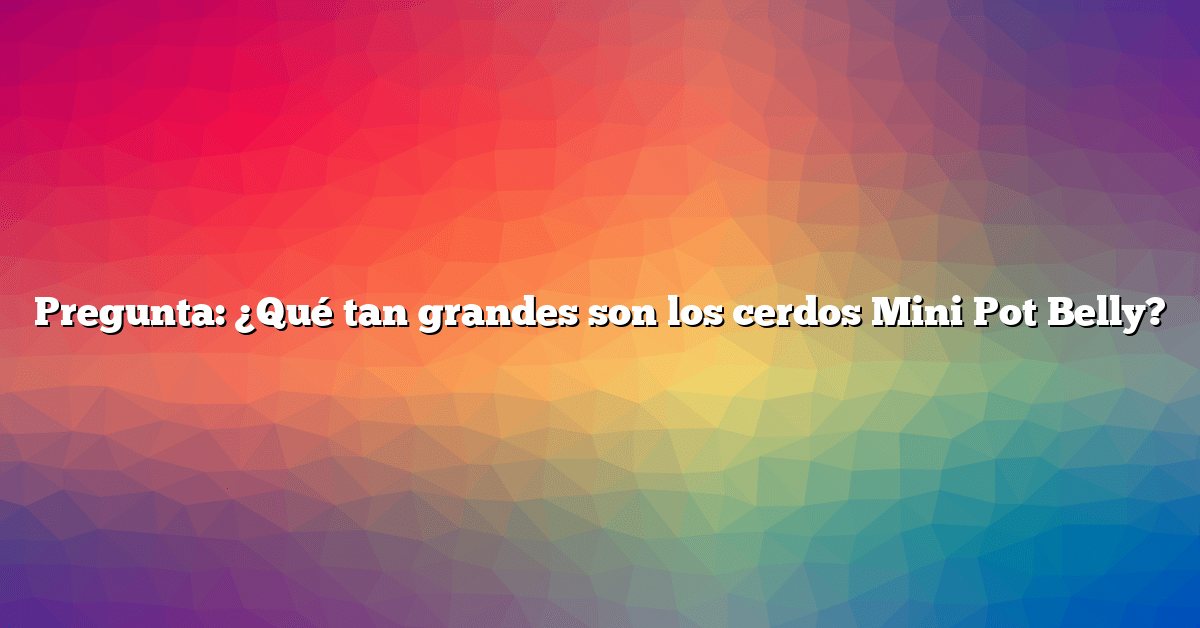 Pregunta: ¿Qué tan grandes son los cerdos Mini Pot Belly?