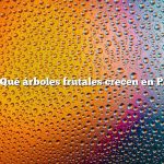 Pregunta: ¿Qué árboles frutales crecen en Pensilvania?