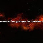 Quand commencer les graines de tomates dans l’Ohio