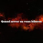 Quand sevrer un veau biberon