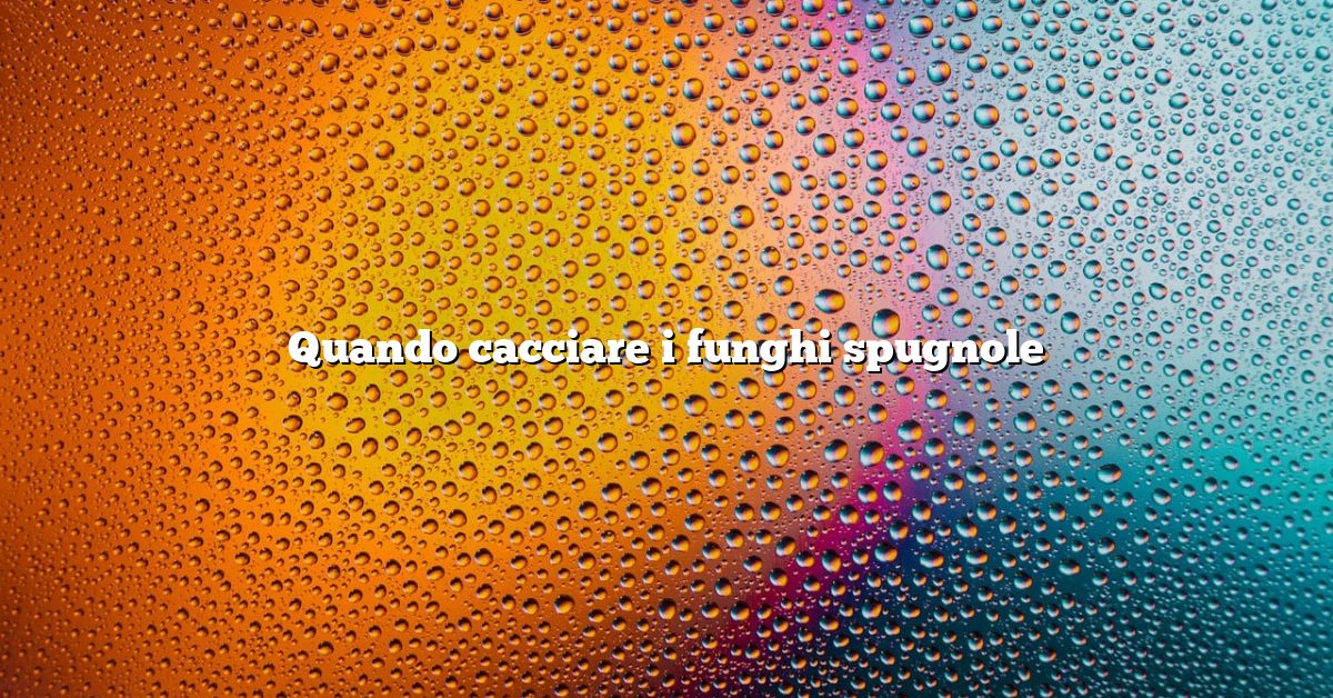 Quando cacciare i funghi spugnole