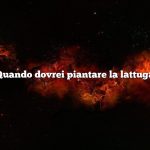 Quando dovrei piantare la lattuga