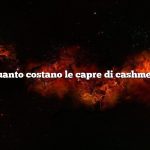 Quanto costano le capre di cashmere