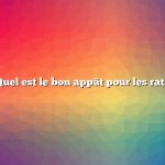 Quel est le bon appât pour les rats