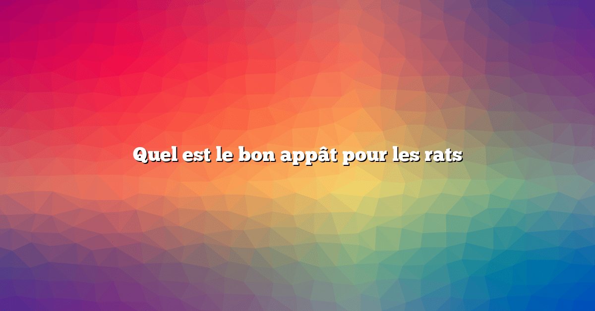 Quel est le bon appât pour les rats