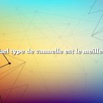 Quel type de cannelle est le meilleur
