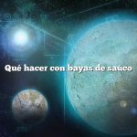 Qué hacer con bayas de saúco
