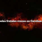 Qué árboles frutales crecen en Carolina del Sur