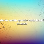 Risposta rapida: in media quanto costa la bolletta elettrica al mese