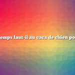 Combien de temps faut-il au caca de chien pour composter