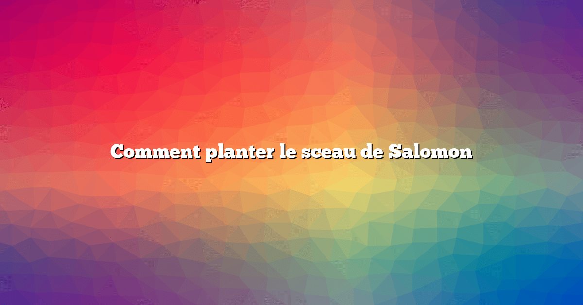 Comment planter le sceau de Salomon