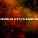 Comment se débarrasser de l’herbe à noix dans ma pelouse