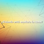 ¿Cuándo está madura la tuna?