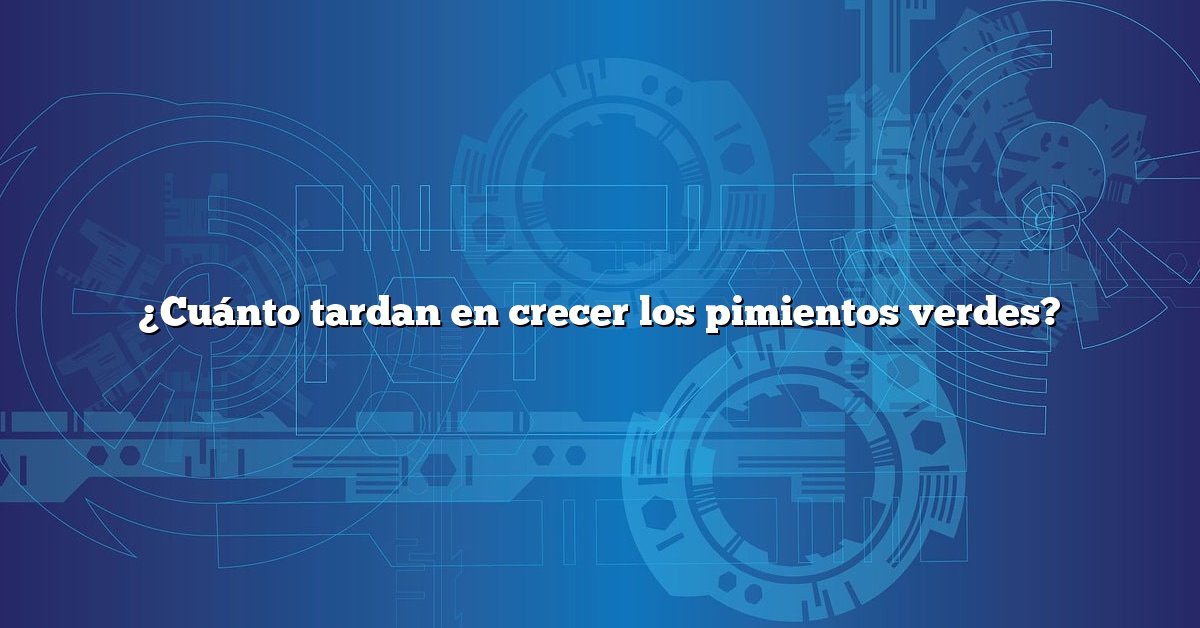 ¿Cuánto tardan en crecer los pimientos verdes?
