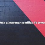 Cómo almacenar semillas de tomate