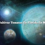 Cómo Cultivar Tomates En Florida En Macetas