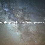 Cómo despellejar un ciervo para carne