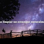 Cómo limpiar un estanque naturalmente