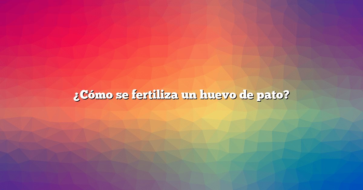 ¿Cómo se fertiliza un huevo de pato?