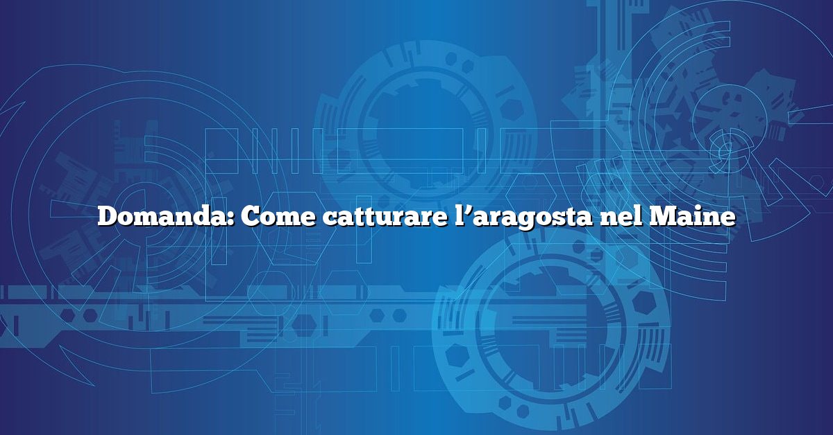 Domanda: Come catturare l’aragosta nel Maine
