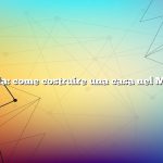 Domanda: come costruire una casa nel Michigan