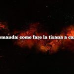 Domanda: come fare la tisana a casa