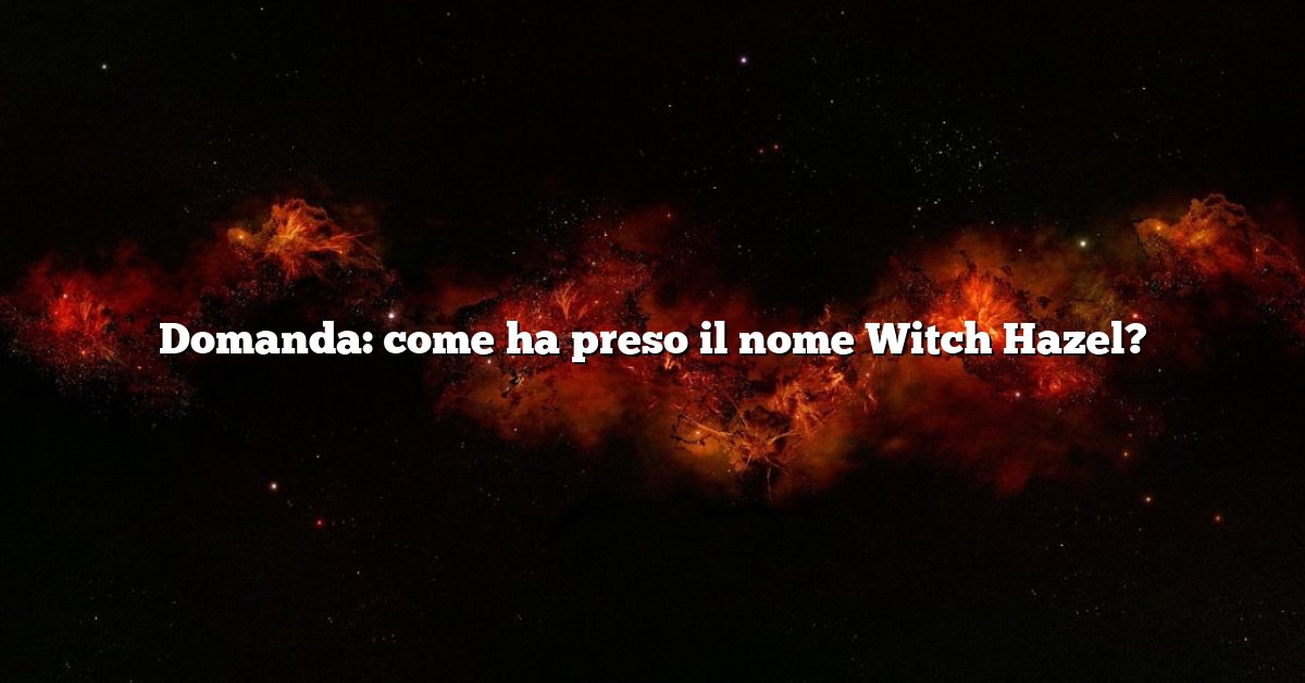 Domanda: come ha preso il nome Witch Hazel?