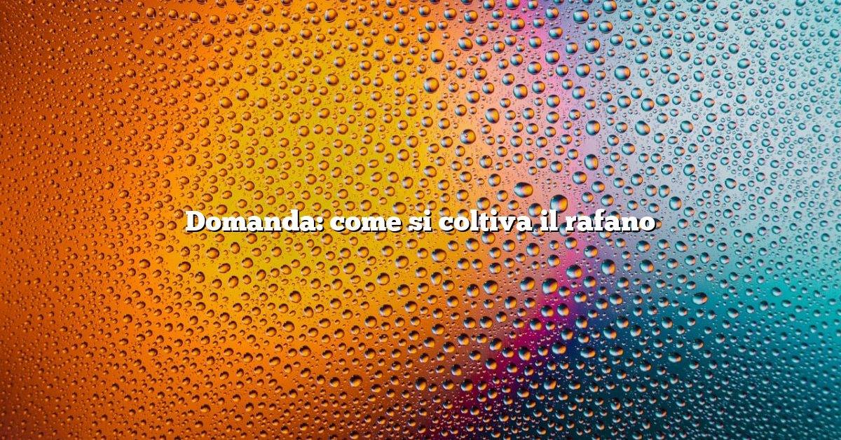 Domanda: come si coltiva il rafano