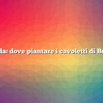 Domanda: dove piantare i cavoletti di Bruxelles