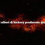 Domanda: Gli alberi di hickory producono quali tipi di noci