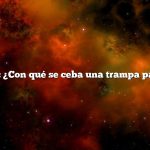Pregunta: ¿Con qué se ceba una trampa para ratas?